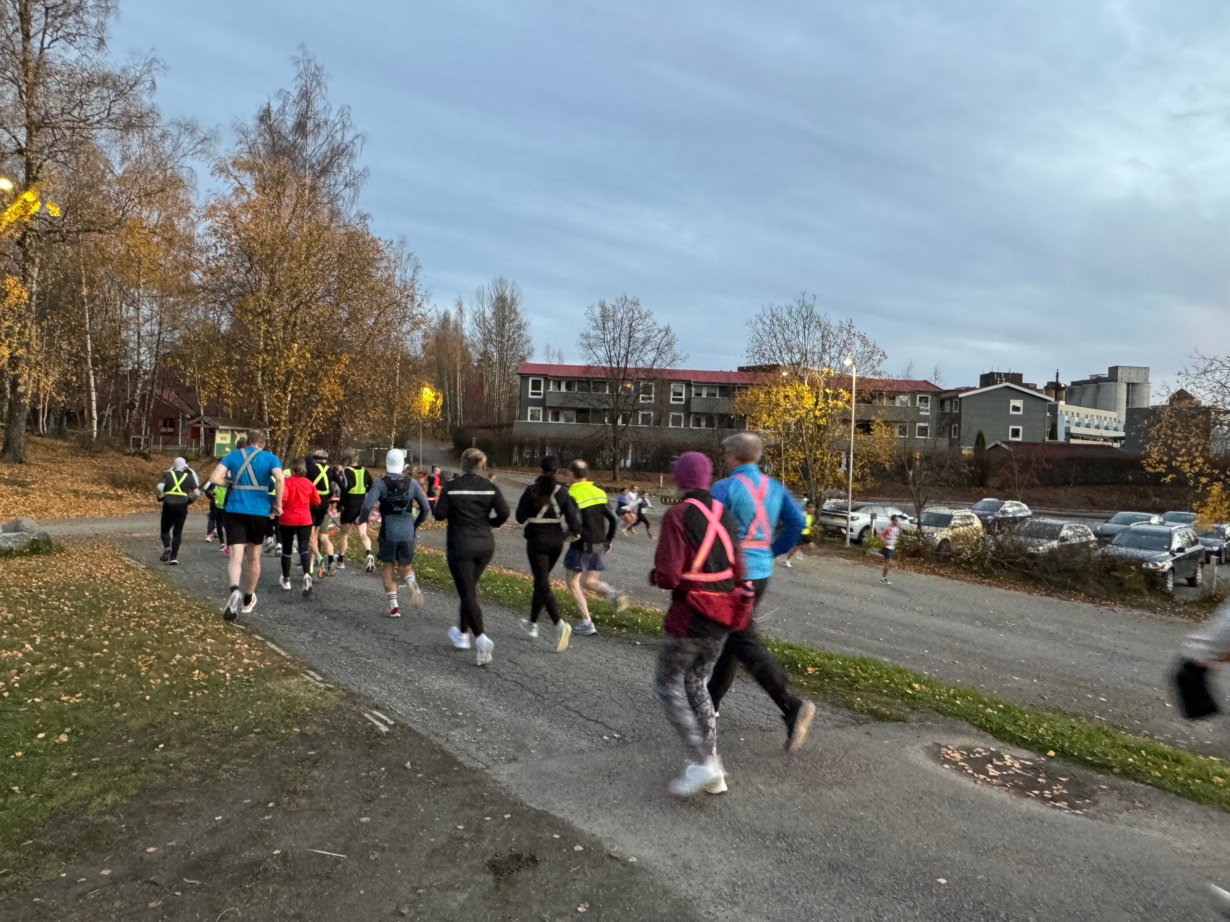 Image for Hamarkarusellen vinter
